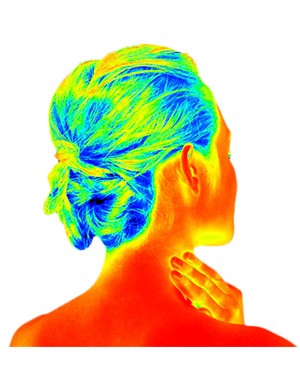 NEWSLETTER #17 / Winter 2018