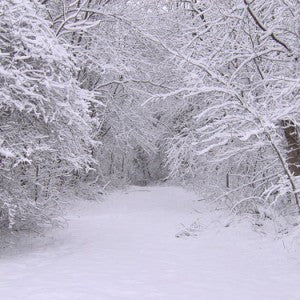 Offices Closed on Tuesday, January 27th